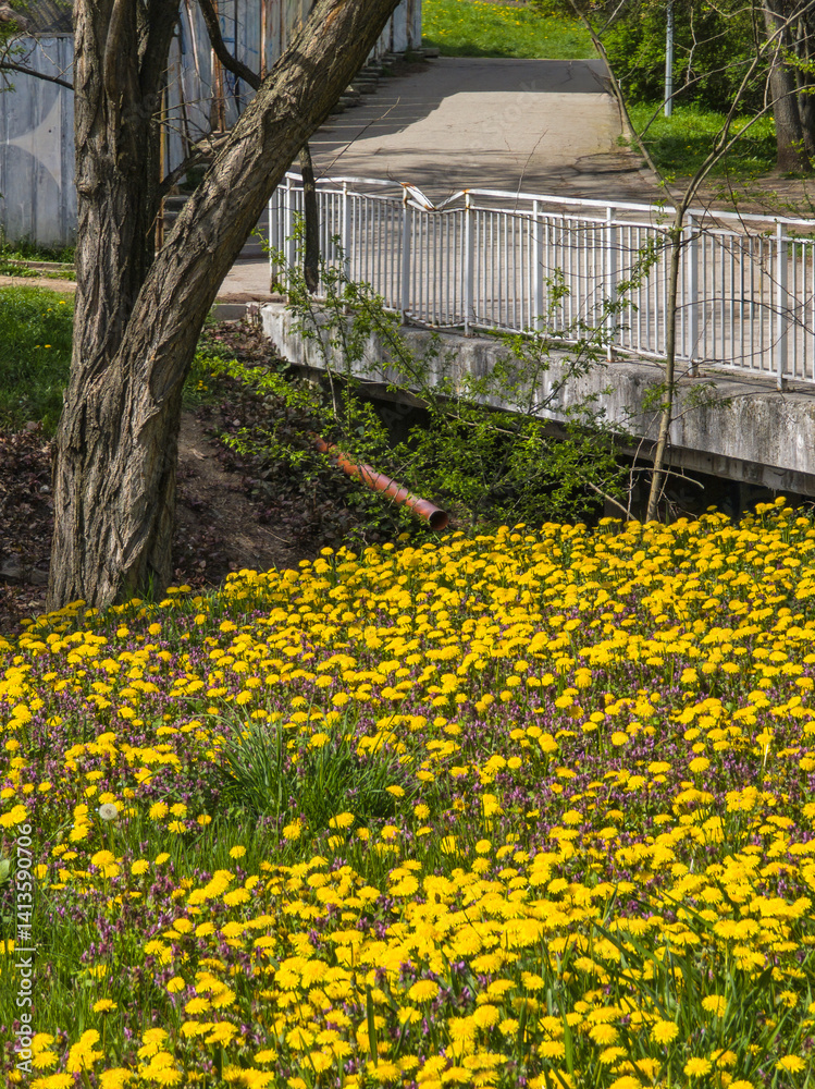 Spring Landscape of South Park in city of Sofia, Bulgaria