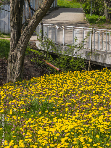 Obraz na płótnie Spring Landscape of South Park in city of Sofia, Bulgaria w salonie