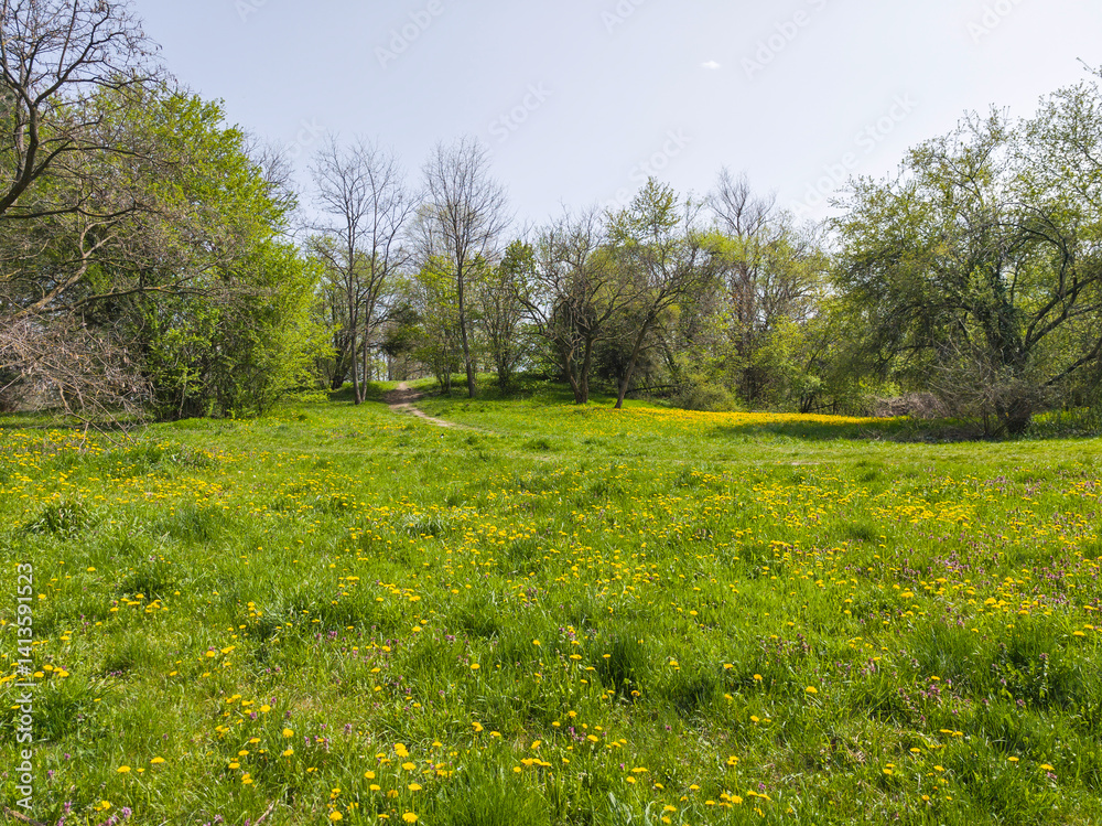 Spring Landscape of South Park in city of Sofia, Bulgaria