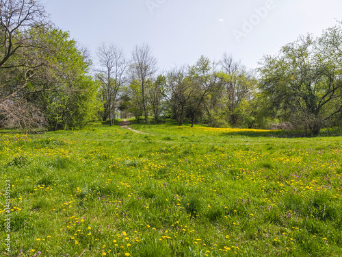 Obraz na płótnie Spring Landscape of South Park in city of Sofia, Bulgaria w salonie