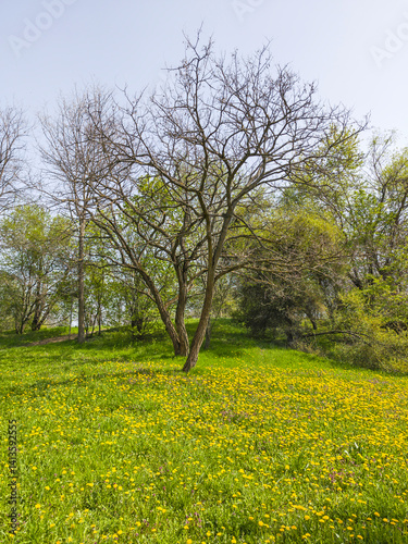 Spring Landscape of South Park in city of Sofia, Bulgaria