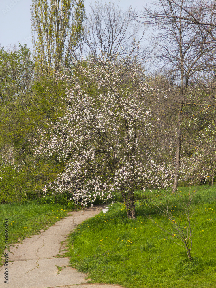 Spring Landscape of South Park in city of Sofia, Bulgaria