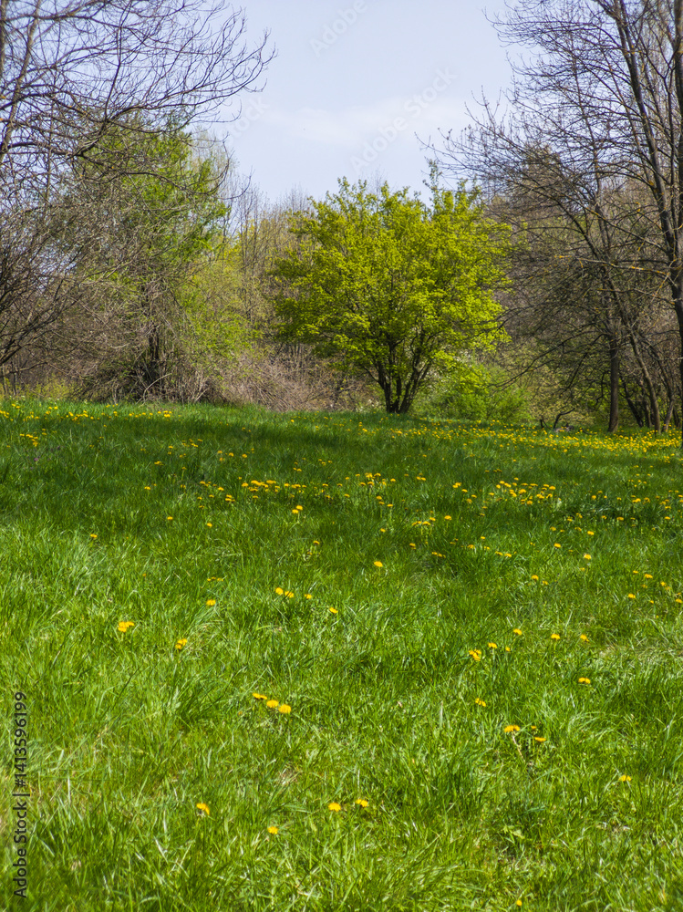 Spring Landscape of South Park in city of Sofia, Bulgaria