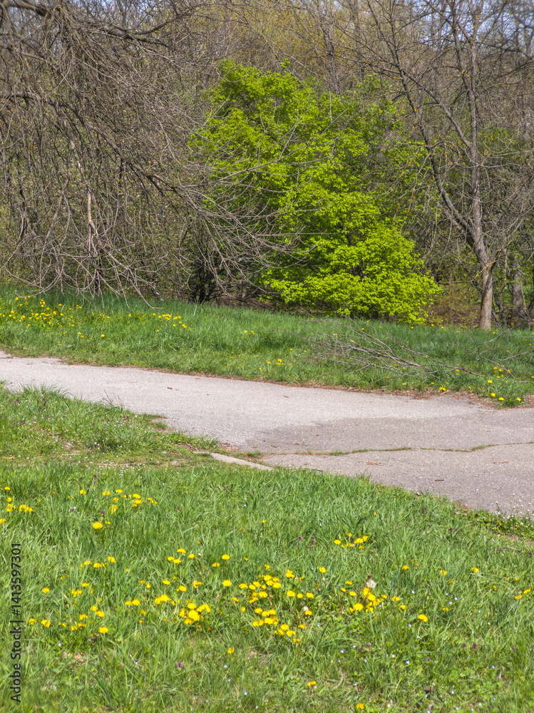 Spring Landscape of South Park in city of Sofia, Bulgaria