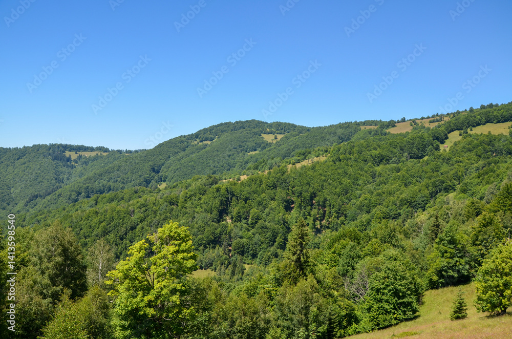 Majestic green hills covered with dense forest under a sunny clear sky, invoking peace and serenity in the countryside. Carpathian Mountains, Ukraine
Majestic green hills covered with dense forest under a sunny clear sky, invoking peace and serenity in the countryside. Carpathian Mountains, Ukraine