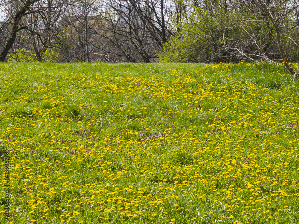 Spring Landscape of South Park in city of Sofia, Bulgaria