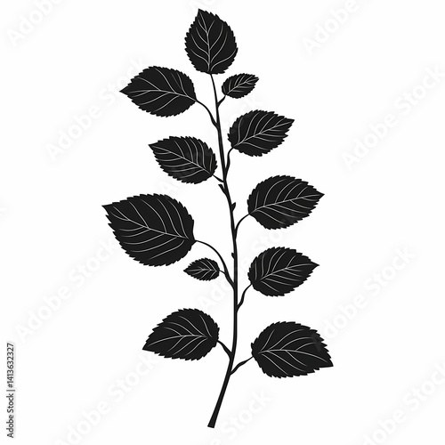 Elegant Botanical Silhouette Design of Leaf and Branch Elements: Minimalistic Black and White Vector Art Illustration