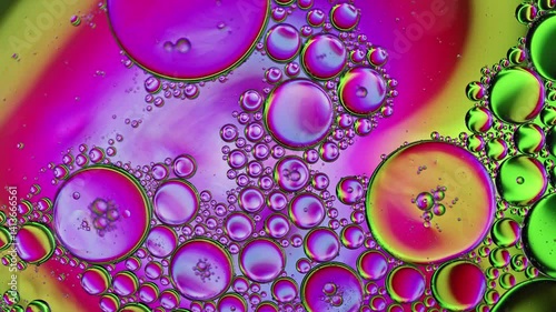 Colorful Oil Bubbles Moving on a Water Surface