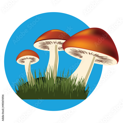 Mushroom bed of three mushrooms
