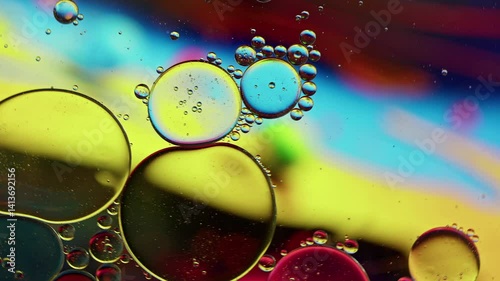 Colorful Oil Bubbles Moving on a Water Surface