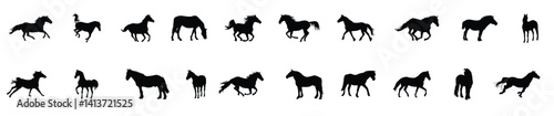 horses silhouettes collection. Wild horse silhouettes