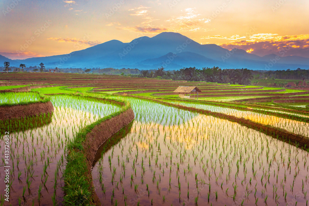 Obraz premium morning view with beautiful rice fields reflecting the sky and the morning sun between the mountains