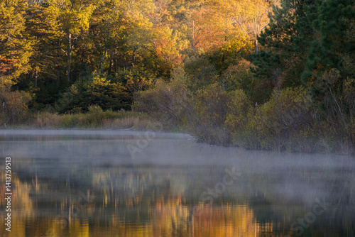 Wallpaper Mural USA, New Jersey, Pine Barrens National Preserve. Autumn foliage reflected in pond. Torontodigital.ca