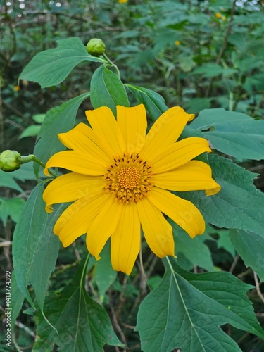 Yellow on a green background