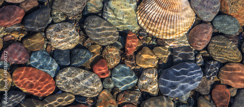 USA, Washington State, Seabeck. Panoramic  of beach rocks and cockle shell on Hood Canal shore.