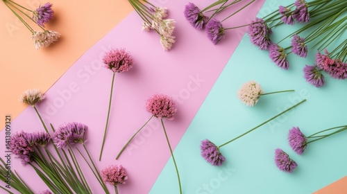 Colorful flowers arranged on pastel backgrounds for a vibrant, artistic display.