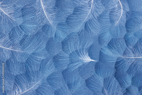 USA, Washington State, Seabeck. Design with downy feathers.