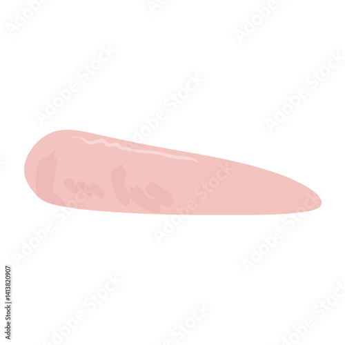 鶏肉　ささみのイラスト