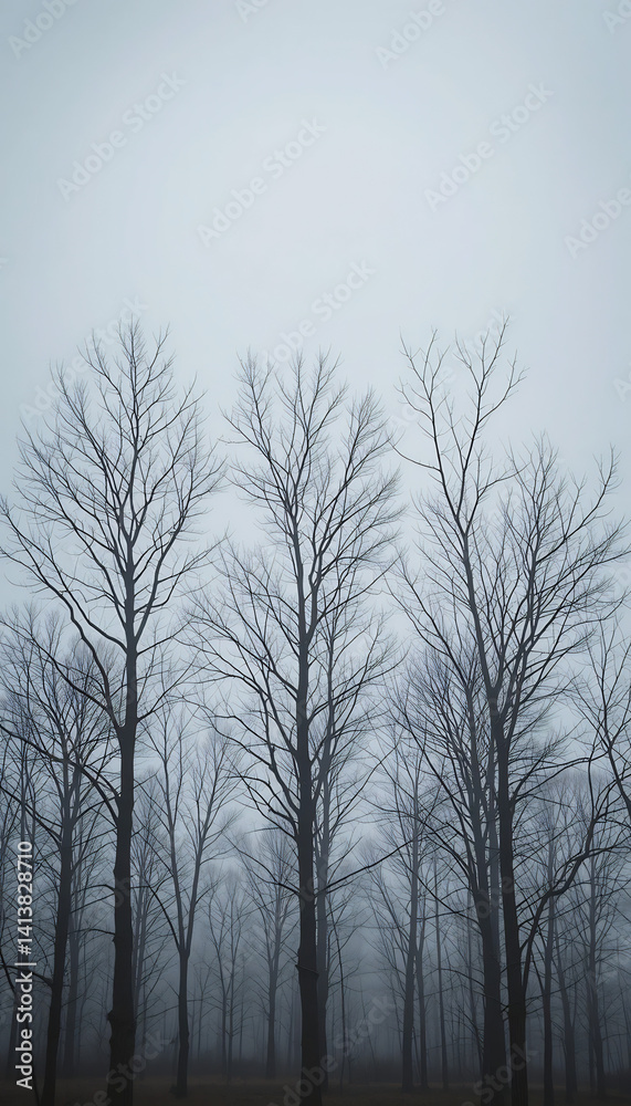 Moody misty forest scene features bare trees softly shrouded in fog.. AI Generated Moody misty forest scene features bare trees softly shrouded in fog.. AI Generated