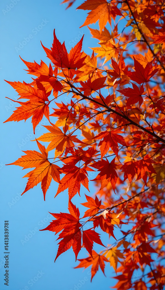Vibrant red maple leaves against a clear blue sky autumn sunlight. AI Generated Vibrant red maple leaves against a clear blue sky autumn sunlight. AI Generated