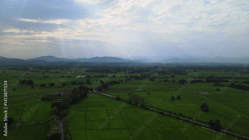 Aerial Drone View of Green Rice Fields, Rural Road, and Mountain Landscape in Morning Light, Northern Thailand Aerial Drone View of Green Rice Fields, Rural Road, and Mountain Landscape in Morning Light, Northern Thailand