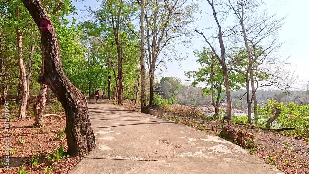 Scenic Pathway Through Champasak's Lush Greenery Scenic Pathway Through Champasak's Lush Greenery