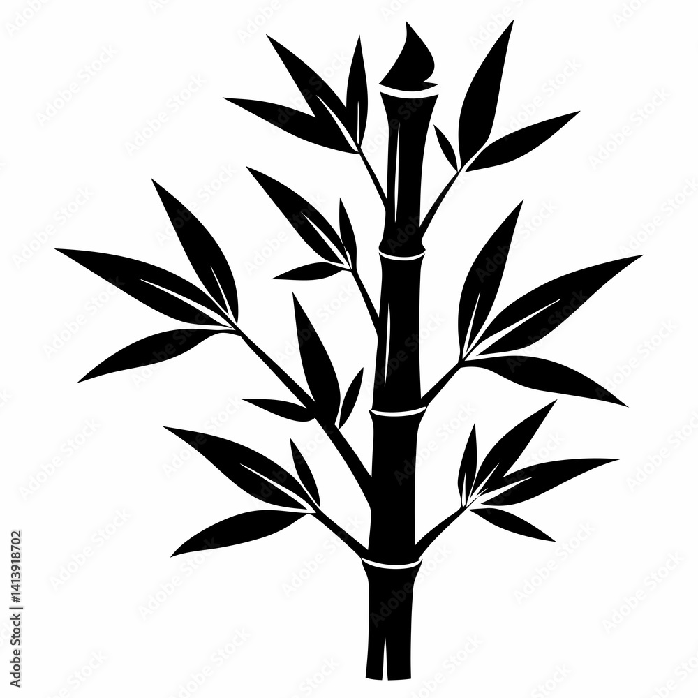 Fototapeta premium Bamboo Isolated Images