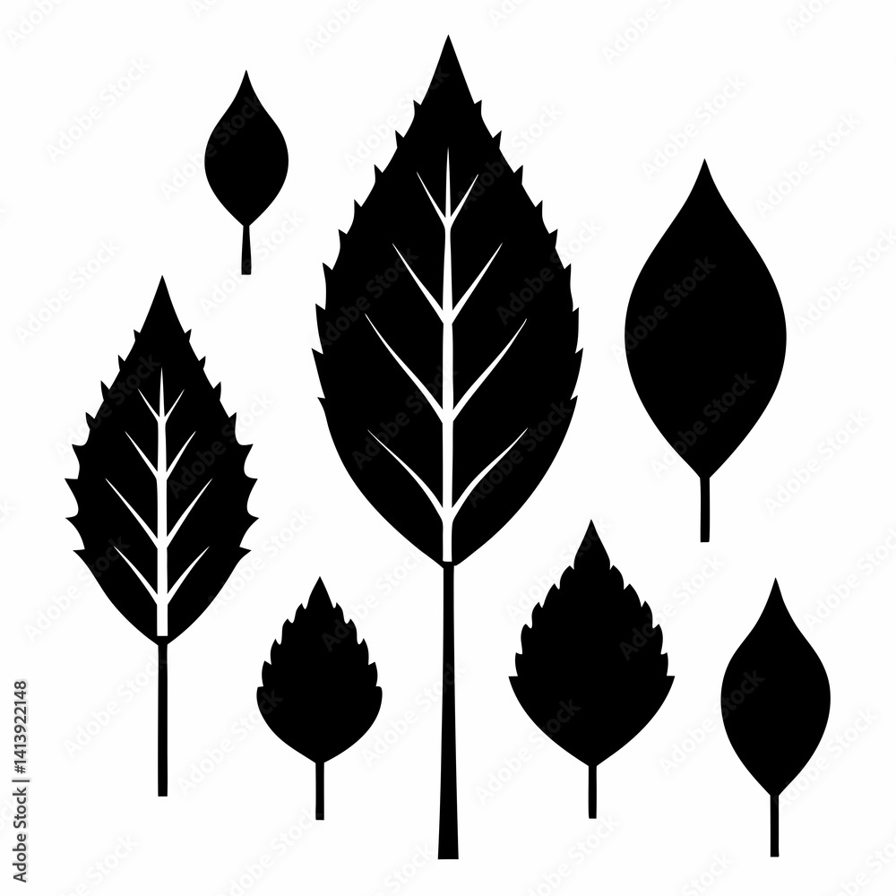 a various birch leaf silhouette black color silhouette a various birch leaf silhouette black color silhouette