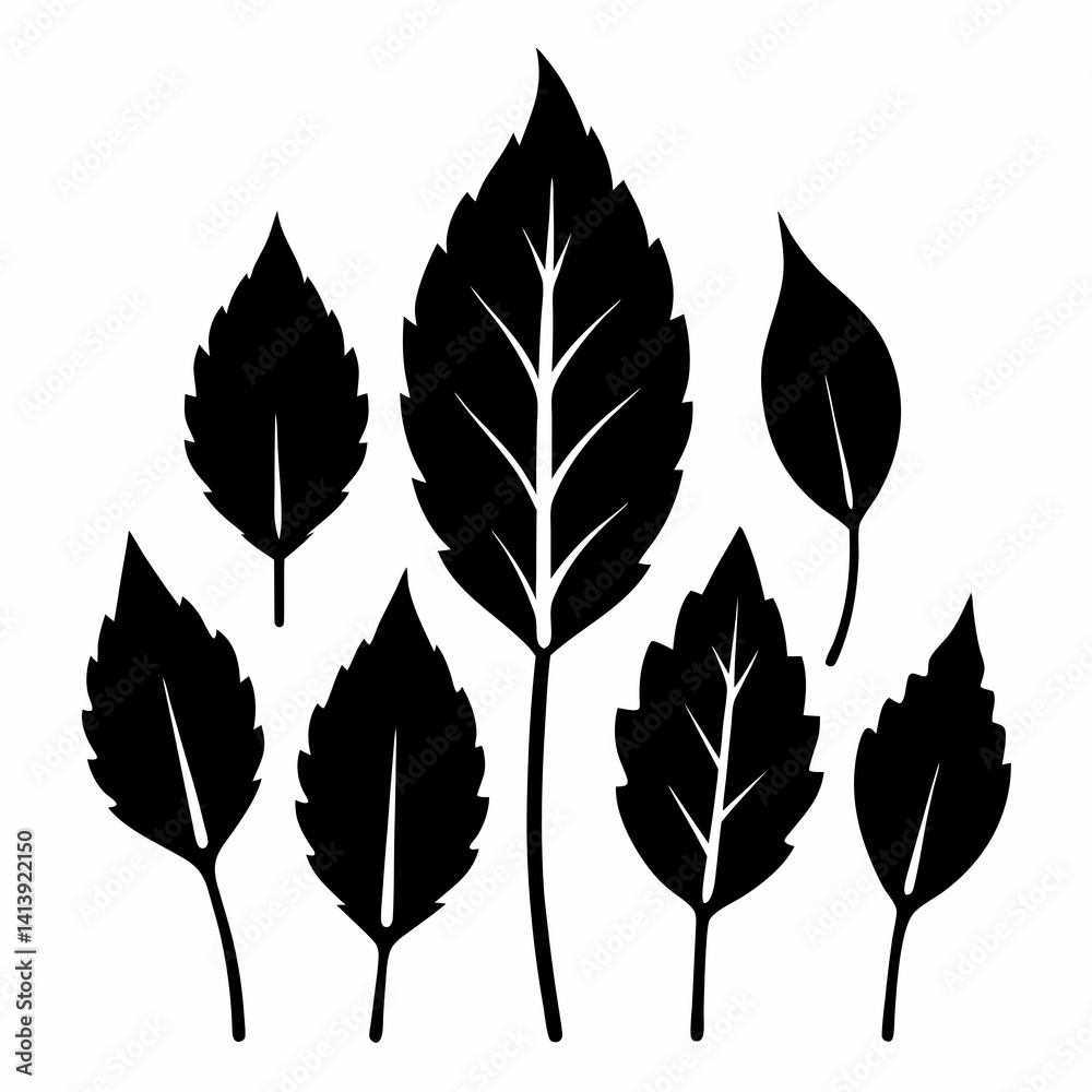 Fototapeta premium a various birch leaf silhouette black color silhouette 