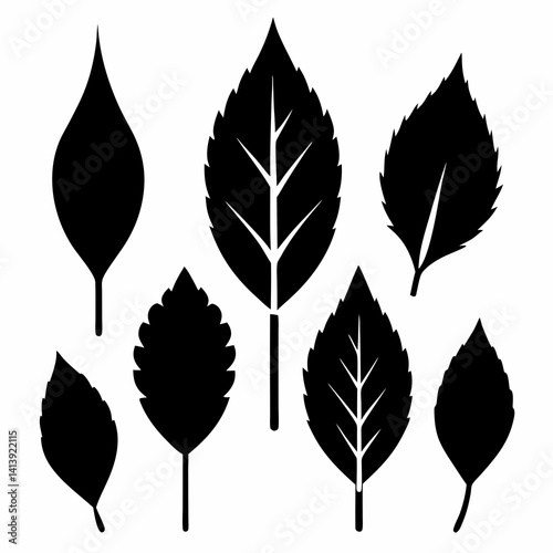 a various birch leaf silhouette black color silhouette 