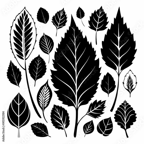 a various birch leaf silhouette black color silhouette 