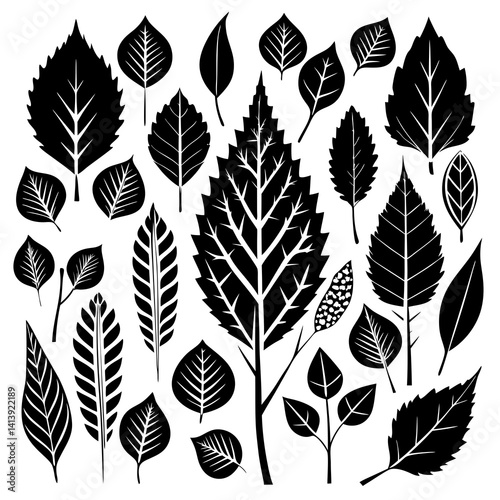 a various birch leaf silhouette black color silhouette 