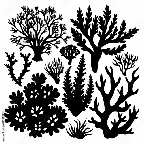 a various coral silhouette black color