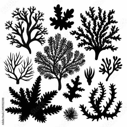 a various coral silhouette black color