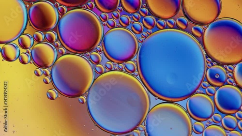 Colorful Oil Bubbles Moving on a Water Surface