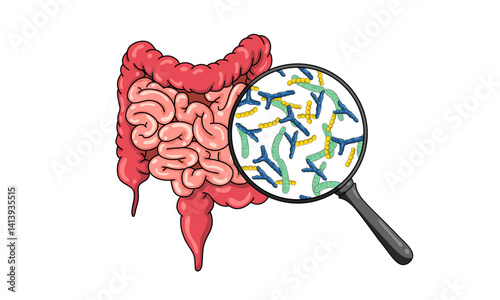 illustration of bacteria in human body. Probiotics good bacteria in human intestine. Good bacteria. Lactobacillus, bifidobacteria, streptococcus, vector design. for medical poster or biology study