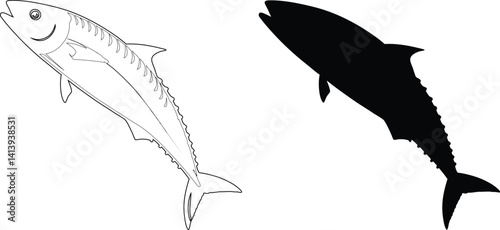 Anchovy Fish silhouette and vector illustration