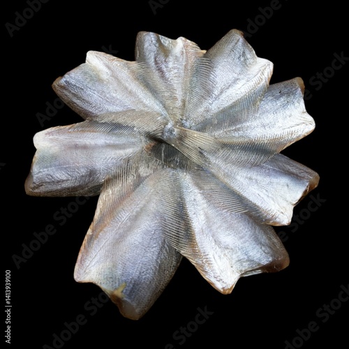 dried Gouramis fish on black background photo