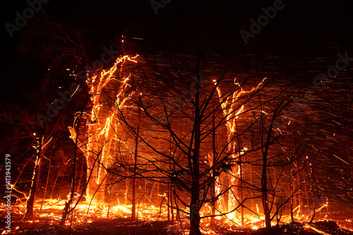Fire Burns Trees During Wildfire Outbreak in Stillwater Oklahoma