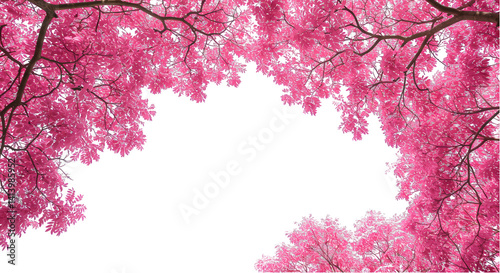 Pink tree canopy background photo