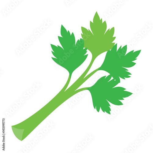 Fresh celery leaf single on clean white background. 