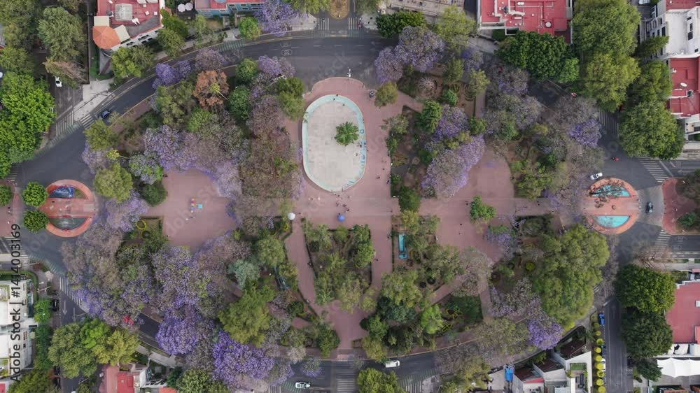 Springtime in CDMX, urban park featuring blooming jacarandas