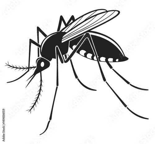 Silhouette of a Flying Mosquito