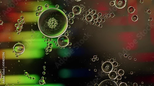 Colorful Oil Bubbles Moving on a Water Surface