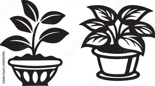 Two potted plants, perfect for home decor or gardening projects.