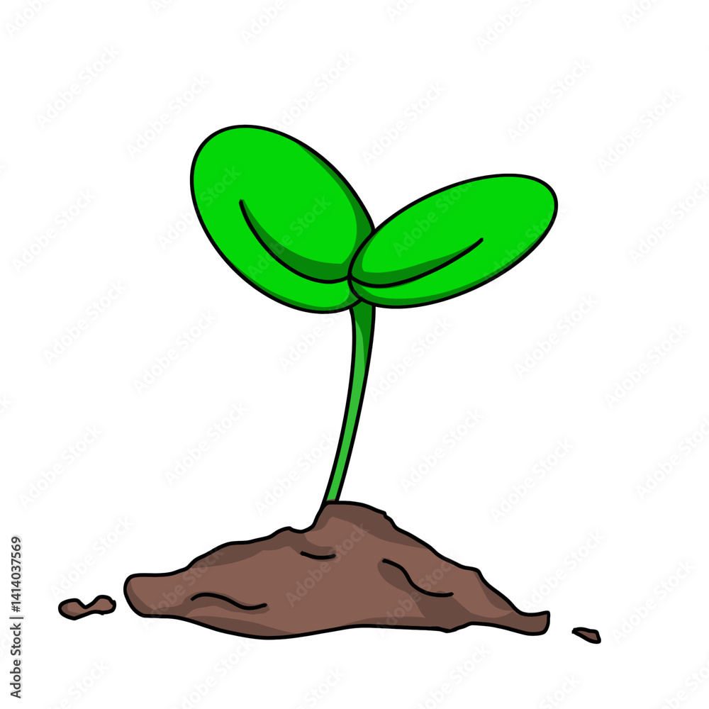 plant growing from soil isolate on png background