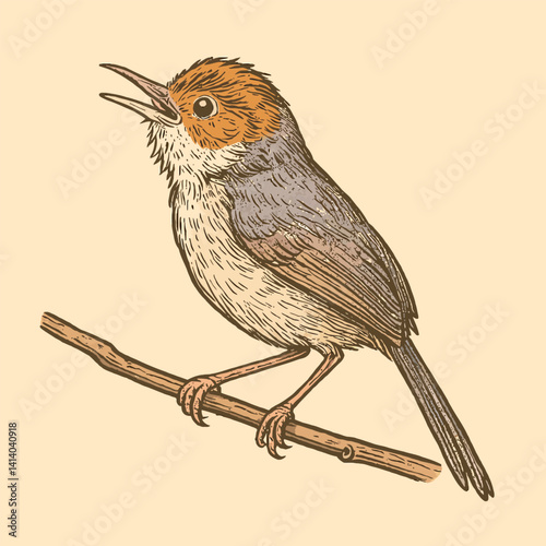Singing Bird Perched on Branch Drawn Illustration