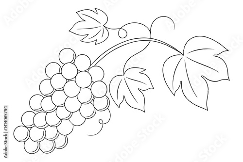 sweet grapes food concept drawing