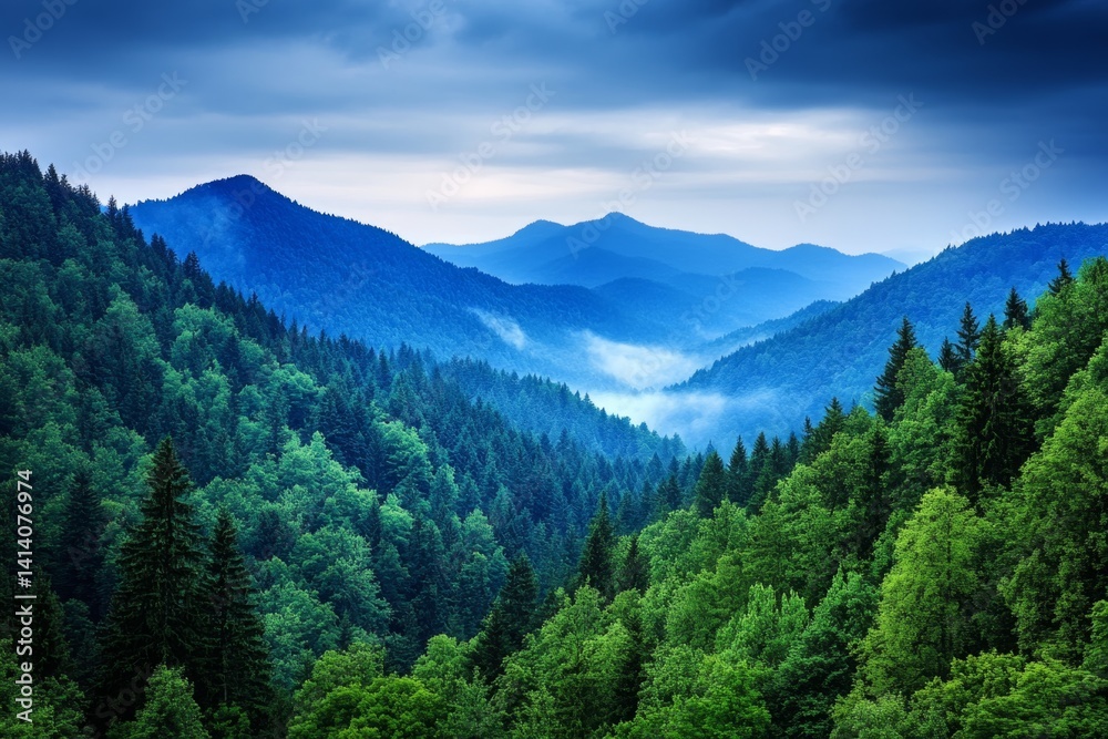 Fototapeta premium A foggy morning at the Great Smoky Mountains, with mist rolling over tree-covered peaks