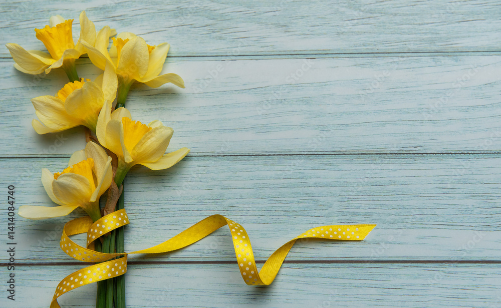 Yellow daffodils with ribbon lying on blue wooden background